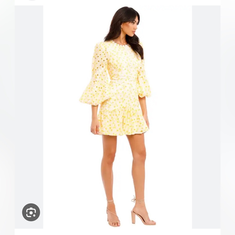 Acler walker dress - Picture 8 of 14